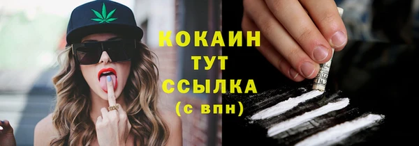 твердый Надым
