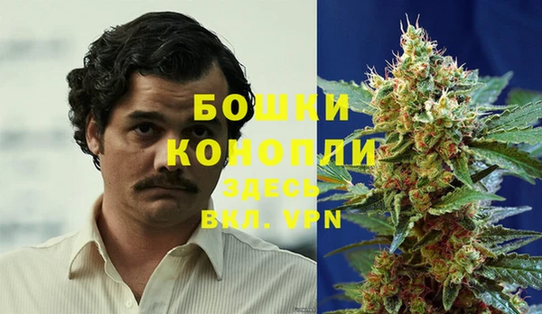 твердый Надым