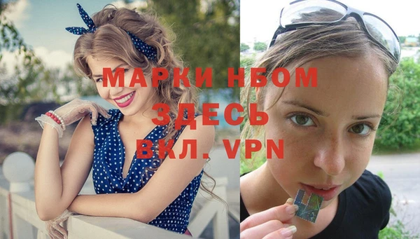 твердый Надым