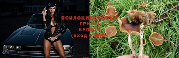 твердый Надым