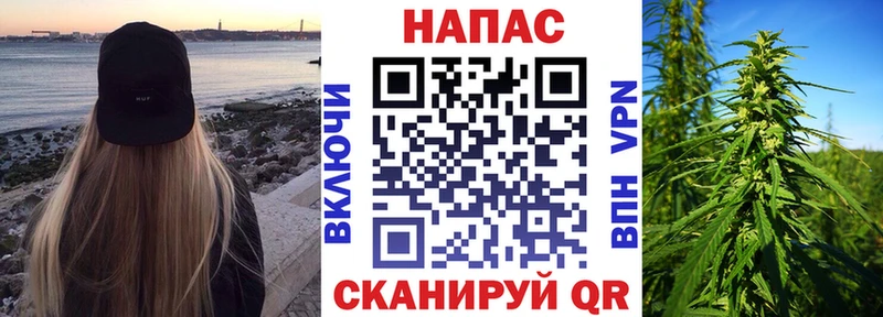 Конопля планчик  Купить закладки  Дятьково 